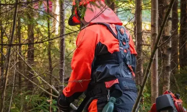 Persona treballant el bosc Persona treballant el bosc