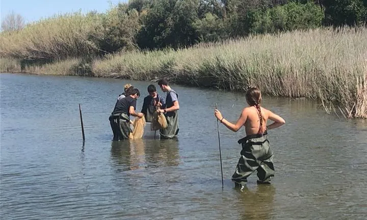 El Camp de Treball del Gaià s'ha consolidat com un espai per a la cura del riu i el seu entorn.