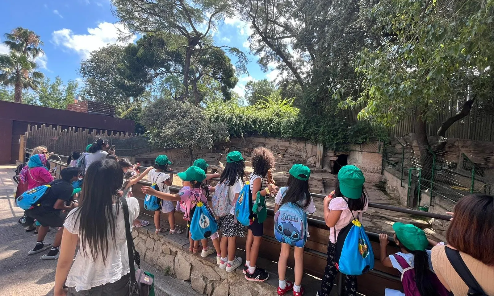 Un grup d'infants al zoo mirant l'espai d'un animal.
