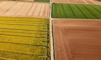 Camps agrícoles Camps agrícoles