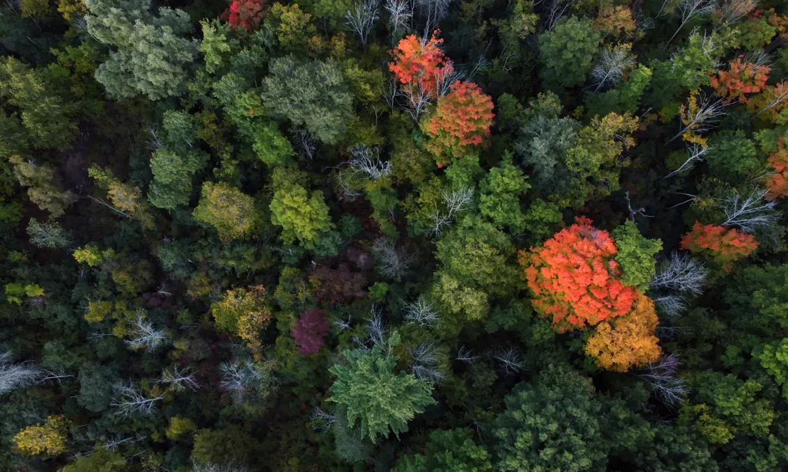 Les entitats alerten dels perills que suposarà el decret per al territori, la biodiversitat i el futur del país.