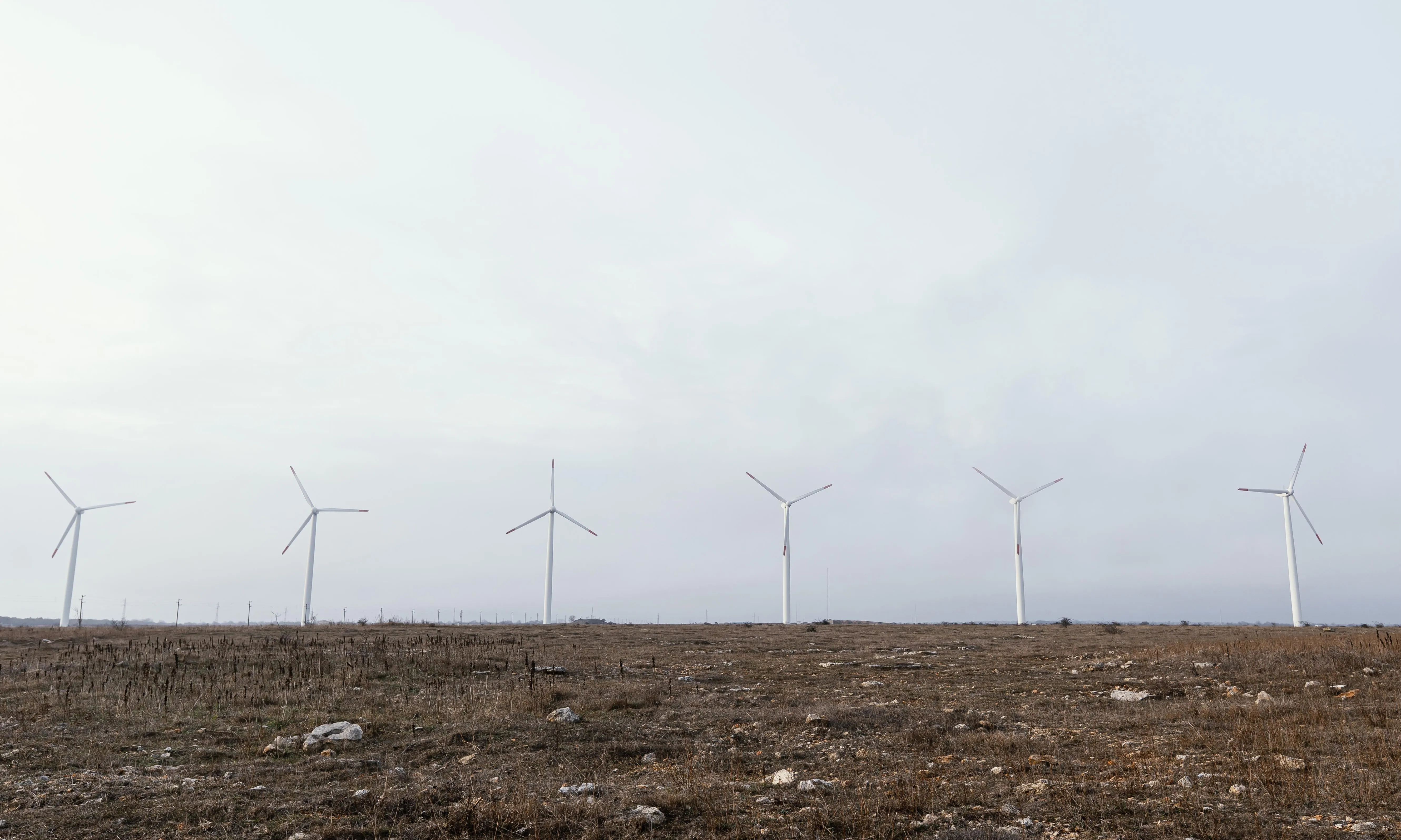 Segons la XCTEJ, el decret busca afavorir interessos econòmics i polítics que res tenen a veure amb una transició energètica justa i sostenible.