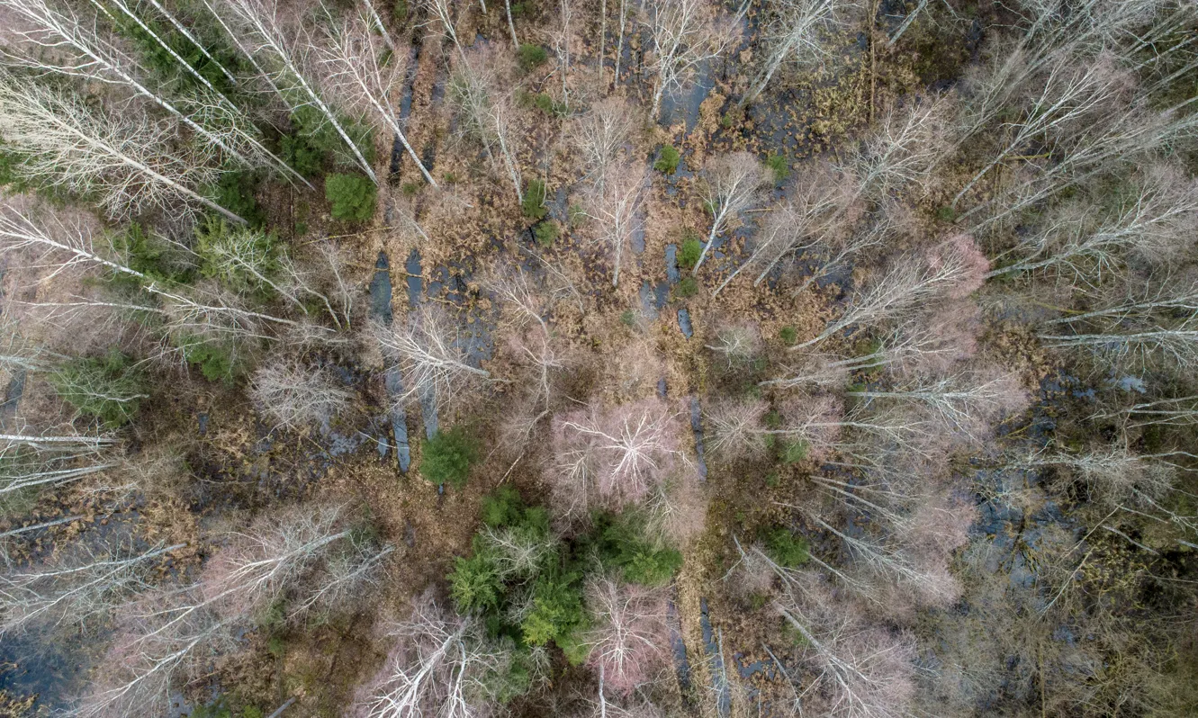 La Xarxa per a la Conservació de la Natura reclama passar a l’acció per revertir la pèrdua de biodiversitat.