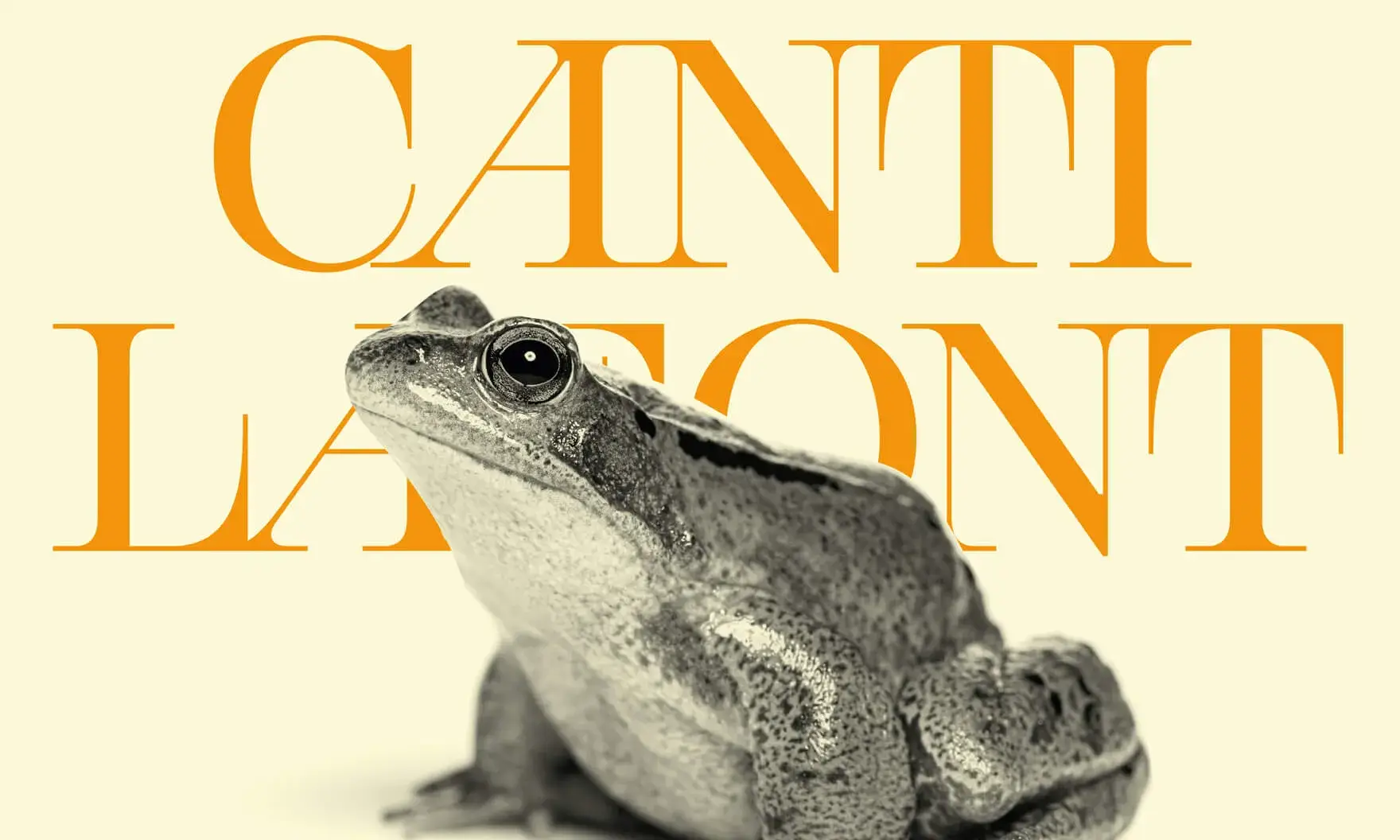 Cartell del Festival Cantilafont