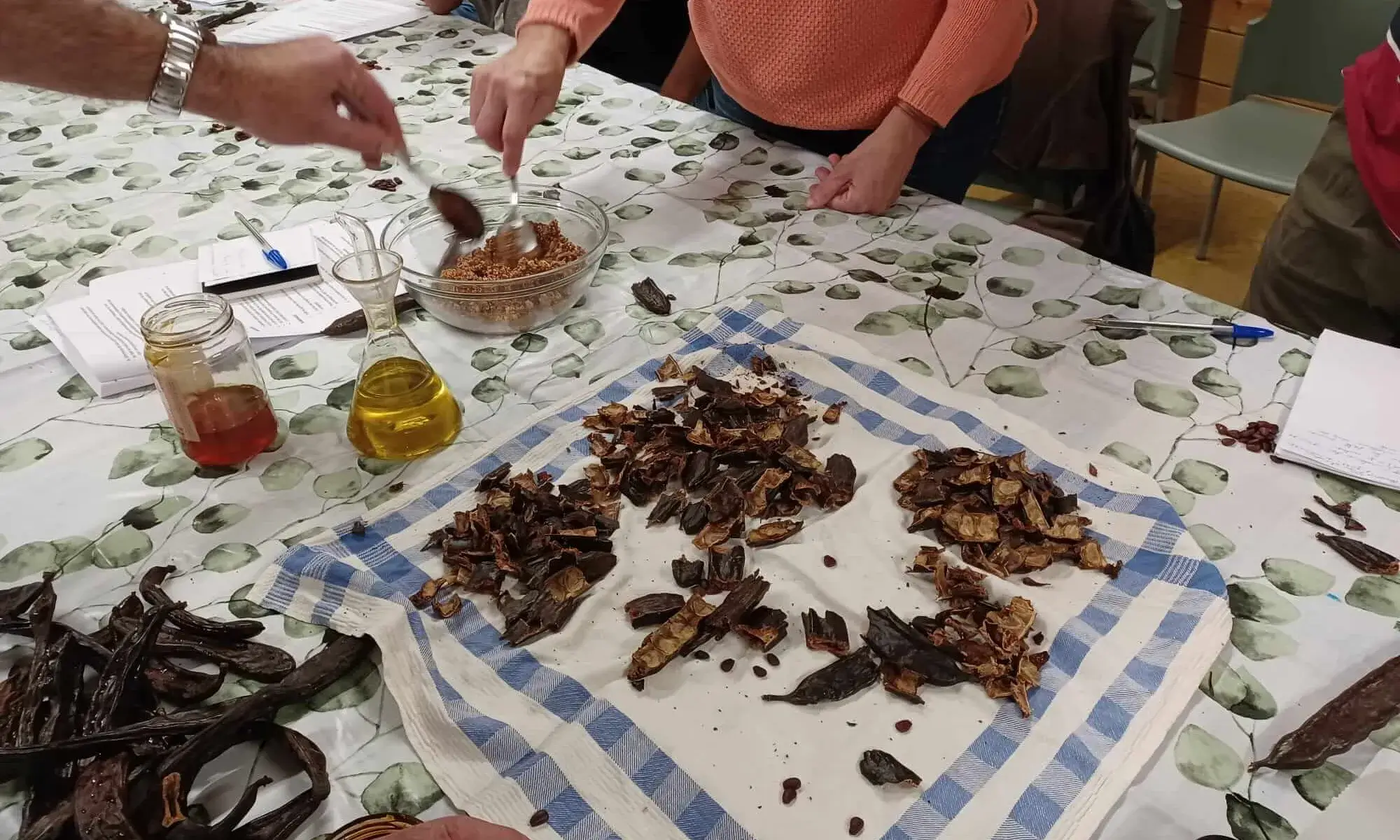 Taller culinari