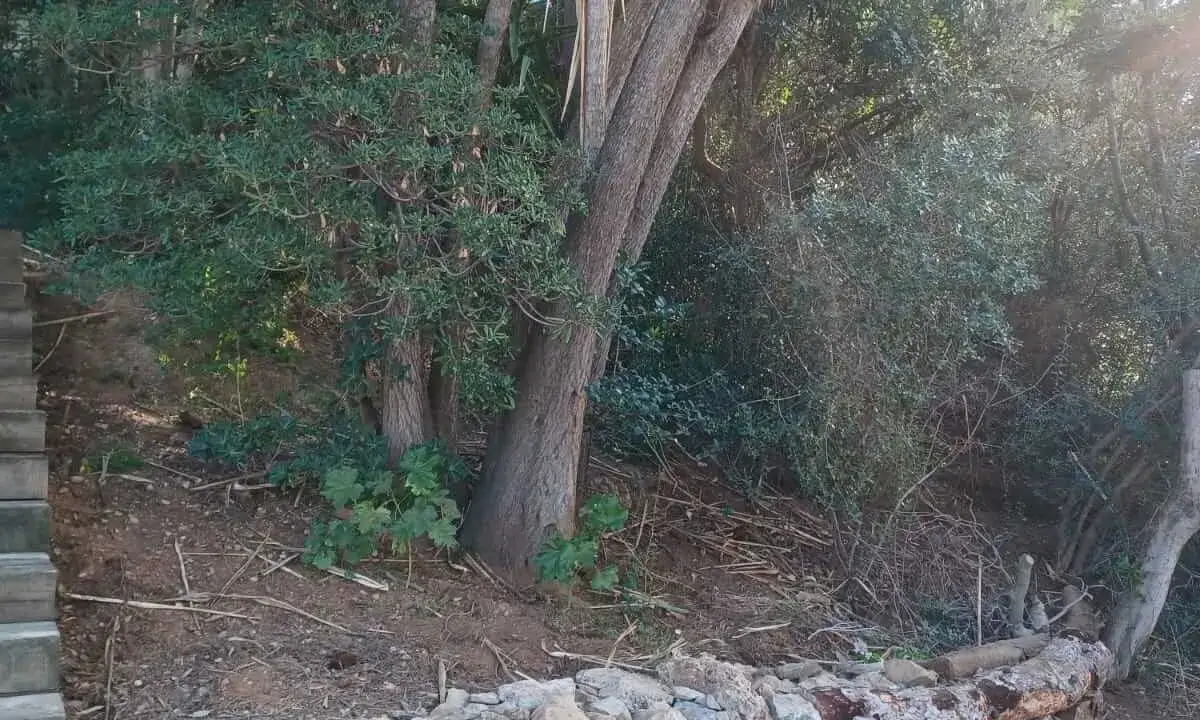 Tota pedra (seca) fa paret