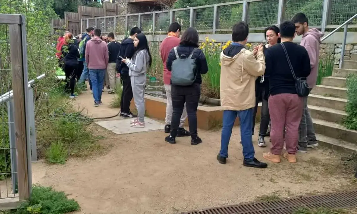 Jornada inclusiva