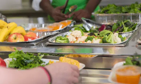 Els espais d’alimentació poden ser una font de conflictes i malestars sinó és gestionen correctament.