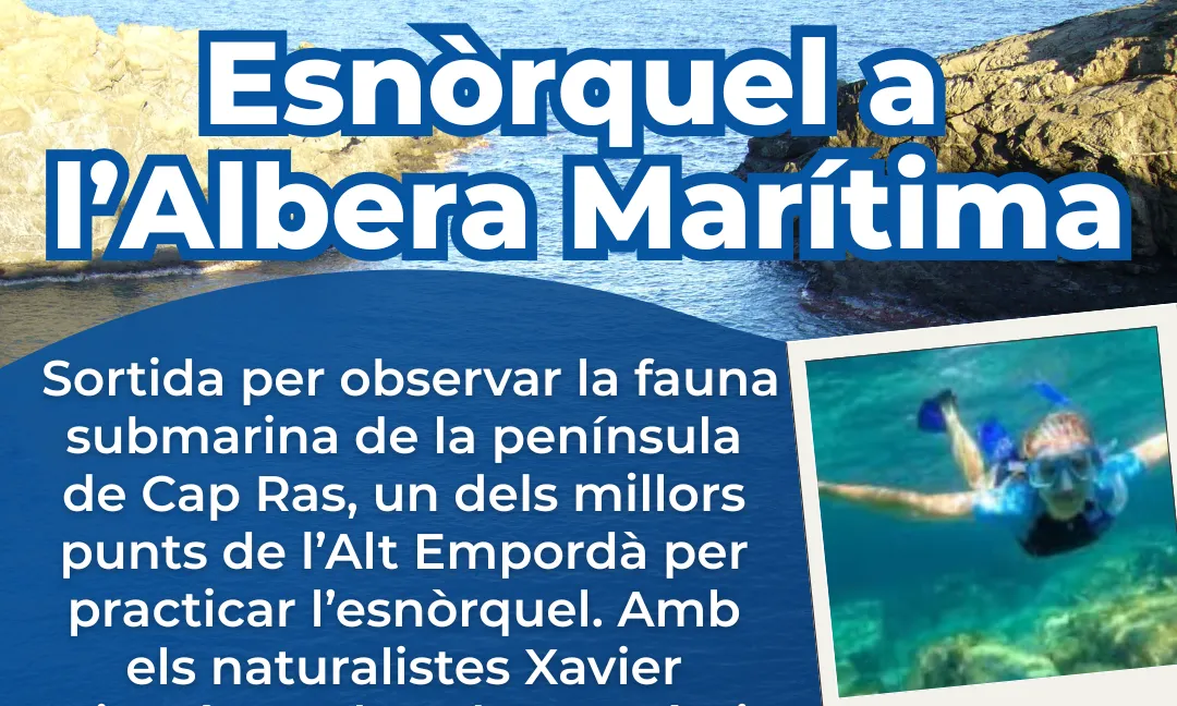 Cartell oficial de la sortida per practicar esnòrquel a l’Albera Marítima, de l'entitat IAEDEN.