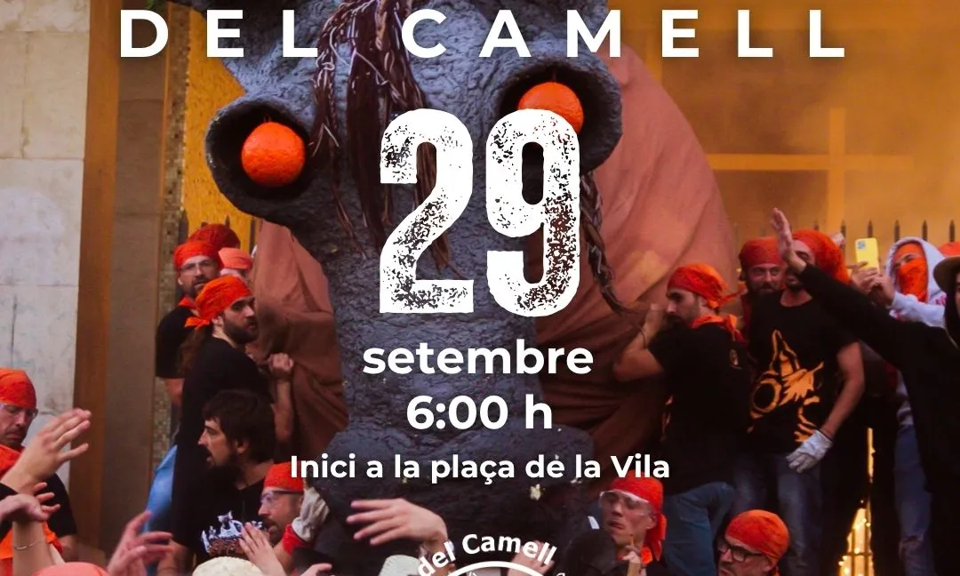 Cartell Matines del Camell