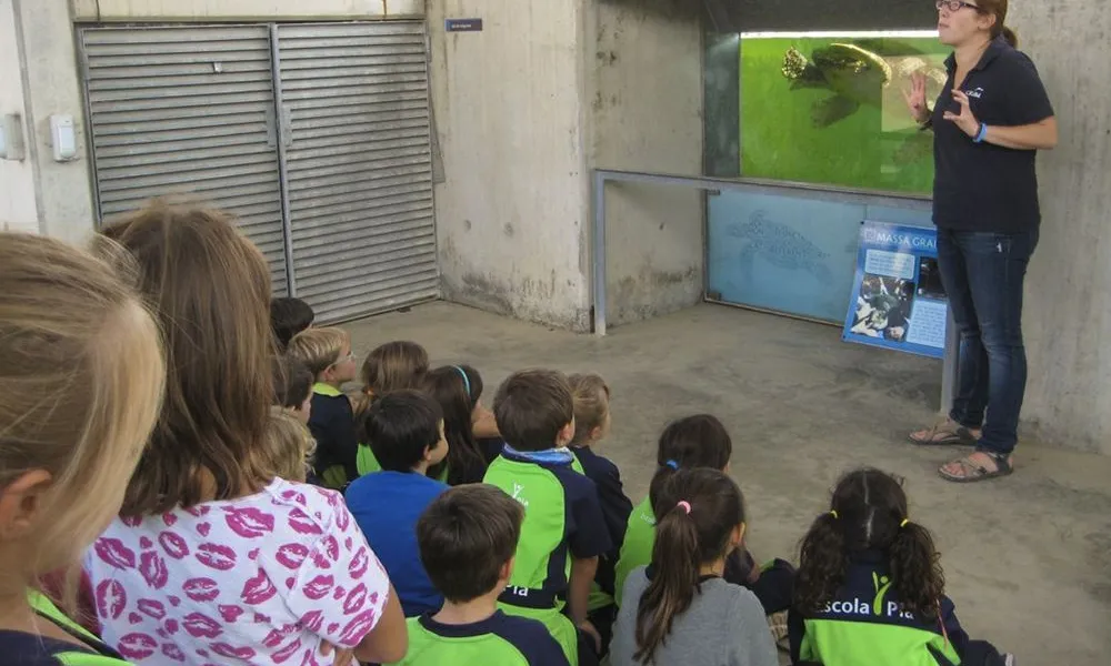 Alumnes de primària de visita al CRAM La Fundació CRAM destaca per divulgar a les escoles l’impacte dels plàstics al mar i el rescat d’espècies marines.