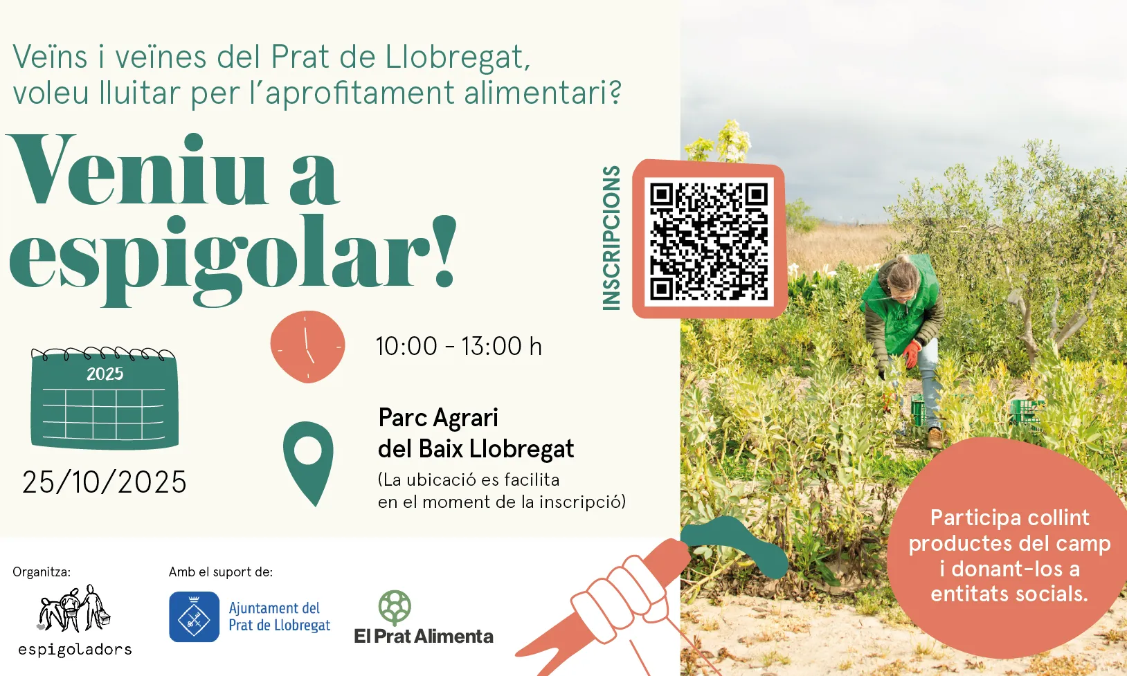 Cartell oficial de l'activitat d'espigolament.