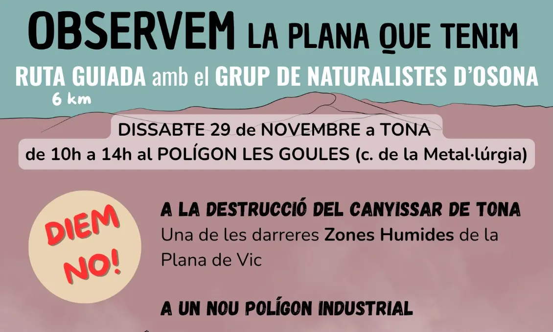 Cartell oficial de la jornada 'Observem la Plana que tenim'.