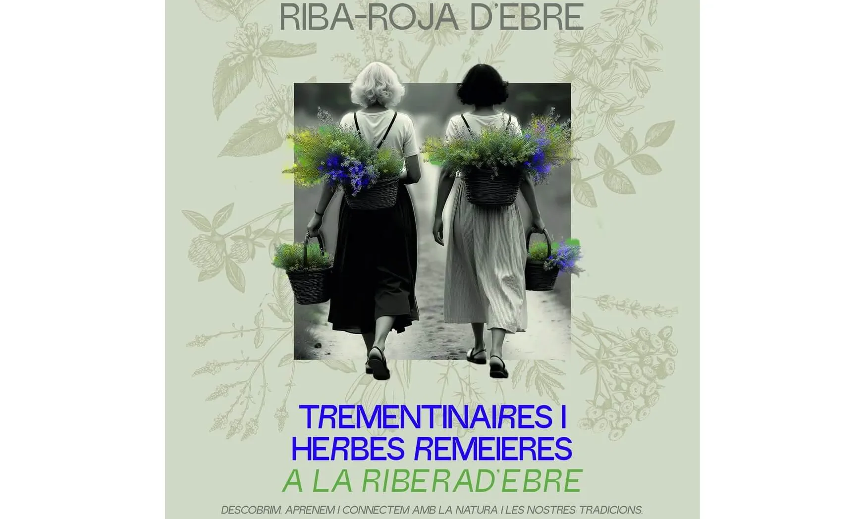Cartell de la jornada
