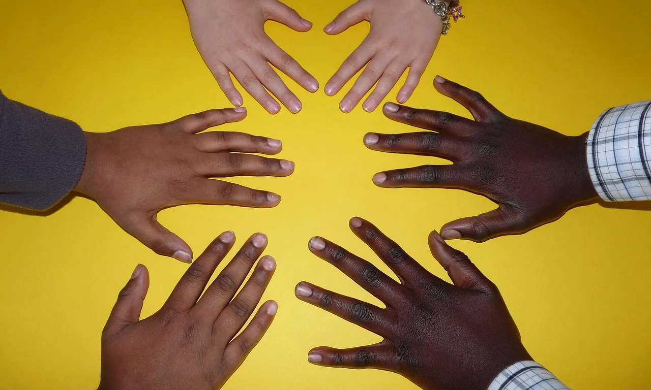 La campanya 'Ens volem associades' neix a l'Argentina a partir de la cooperativa El Maizal.