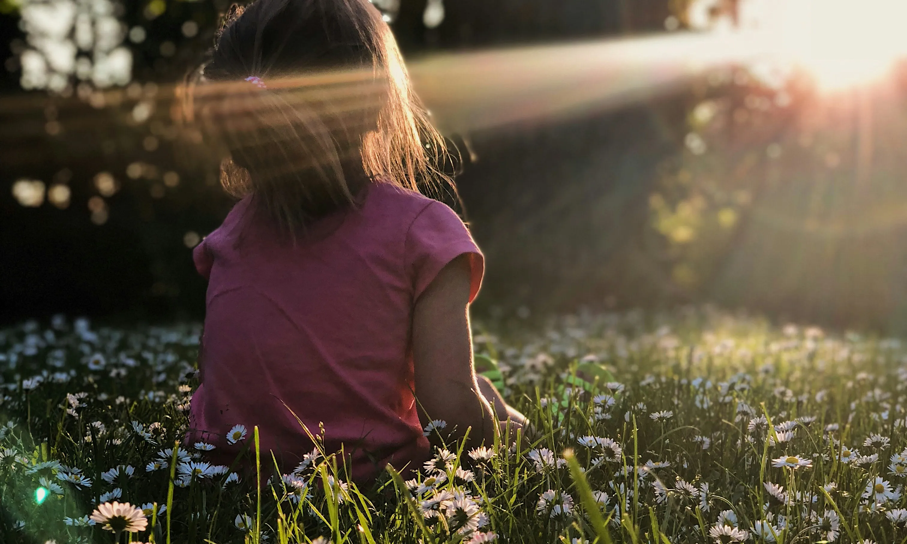 Nena asseguda en un camp margarides