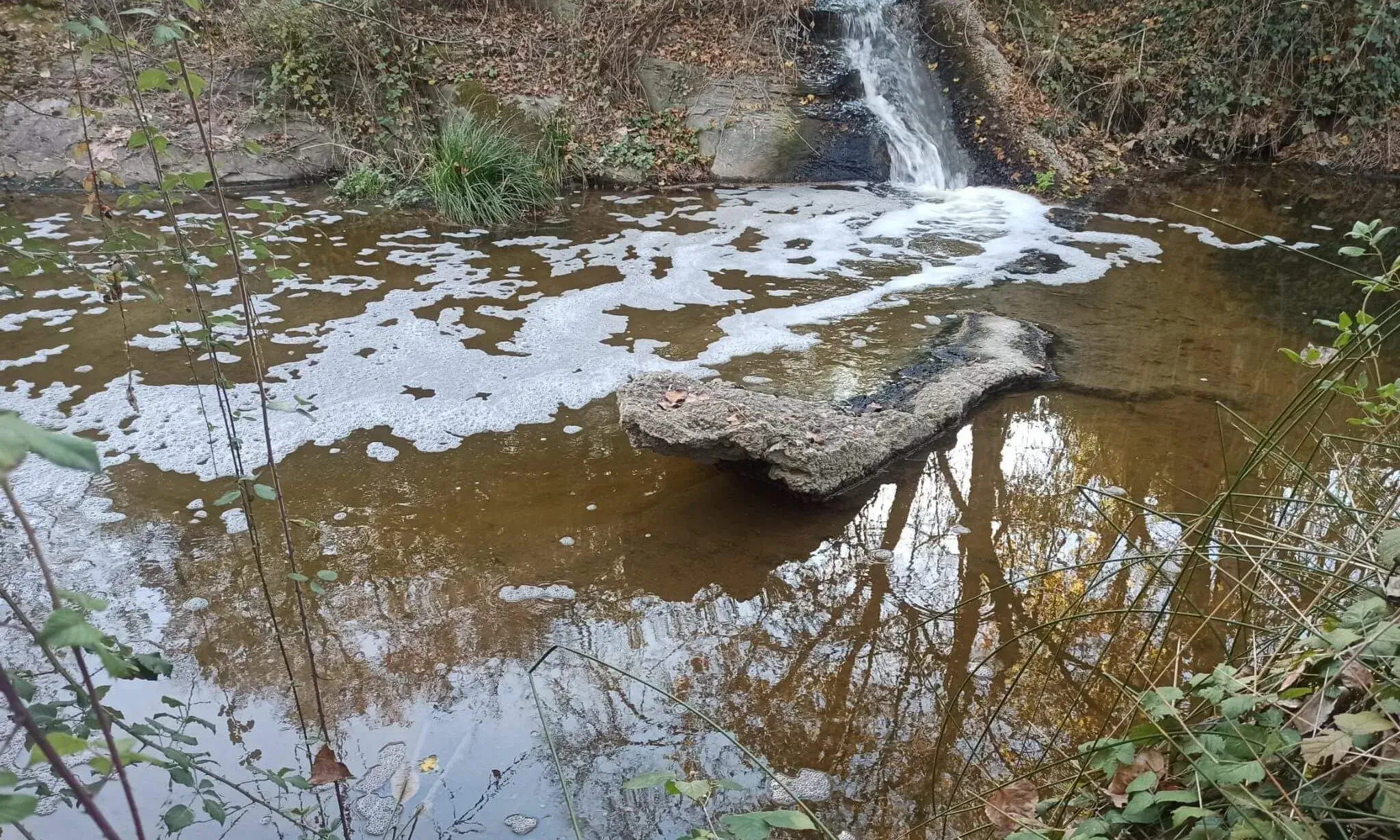 L'empresa s'enfronta a una acusació de delicte continuat contra el medi ambient per contaminar de forma reiterada, i durant anys, la riera de Sant Martí.