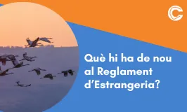 Què hi ha de nou al Reglament d’Estrangeria?