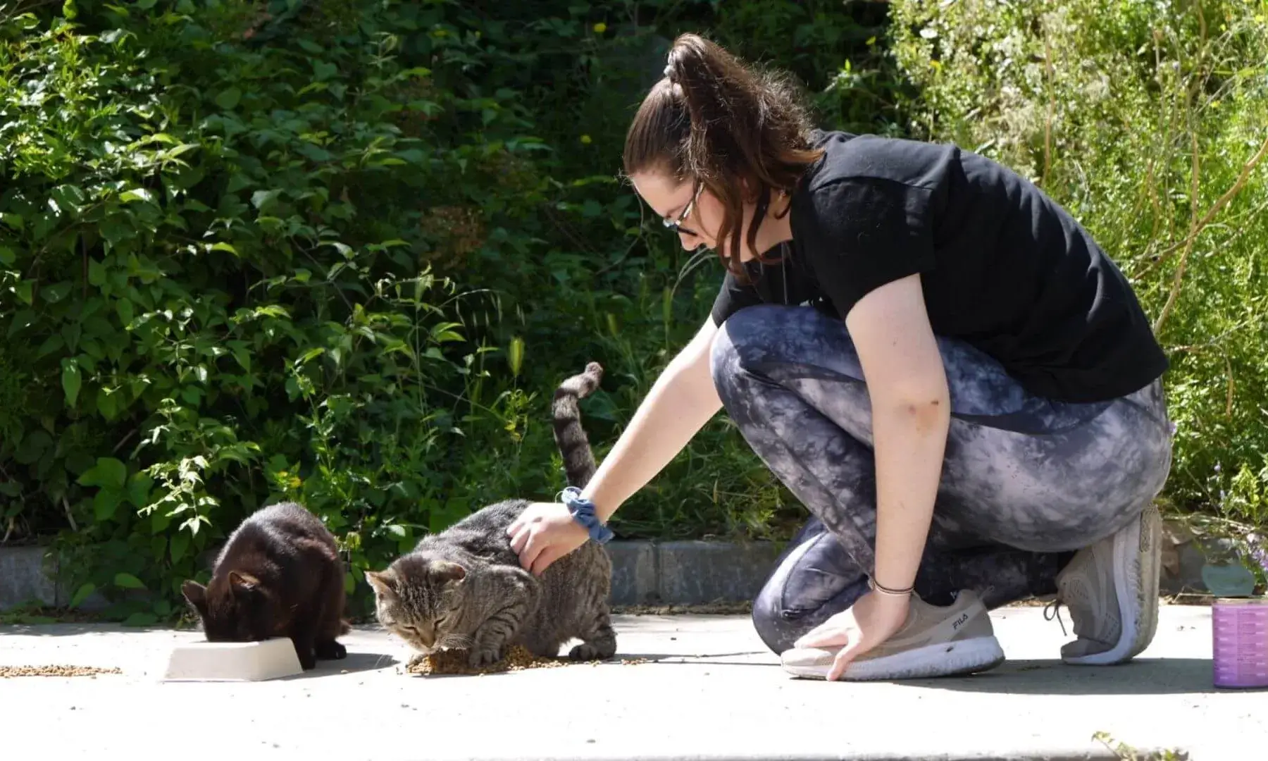 El voluntariat és imprescindible per garantir l’alimentació, el seguiment i l’atenció sanitària dels gats comunitaris.
