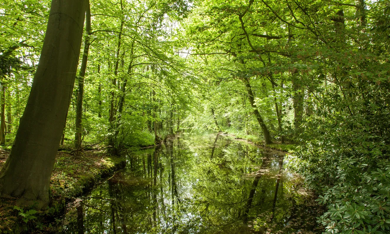 Les entitats ambientals exigeixen un finançament estable i estructural per conservar la natura.