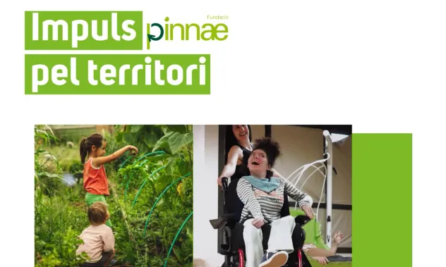 Cartell de la convocatòria de Pinnae- Impuls pel territori - 2026