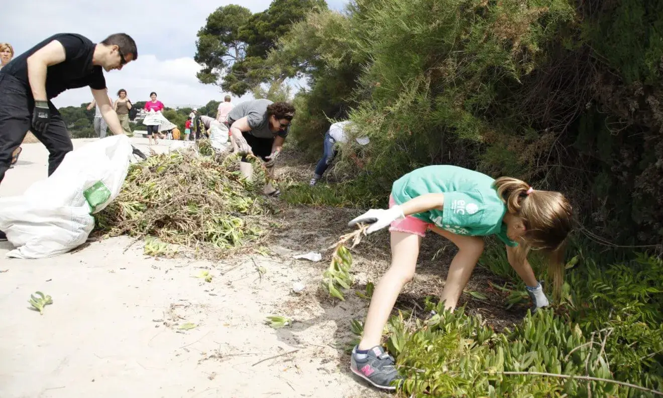 Persones extraient plantes exòtiques per il·lustrar la jornada d'eliminació de plantes exòtiques invasores a Salou.