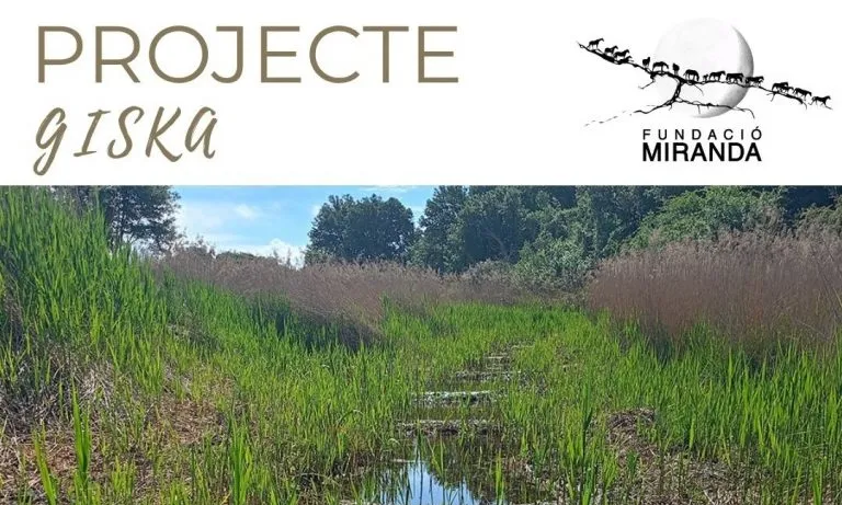 Cartell oficial de la sortida de voluntariat ambiental al riu de Carreu.