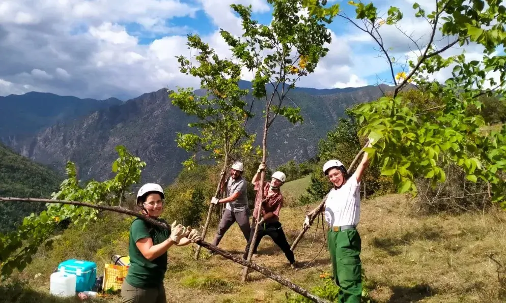 Imatge de persones voluntàries treballant en les tasques de voluntariat del projecte Boscos de Muntanya.
