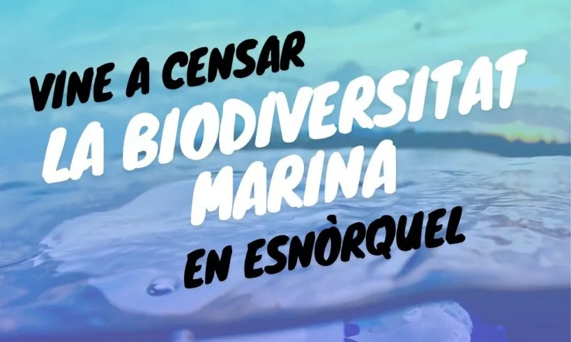 Cartell oficial del cens de biodiversitat i esnòrquel.