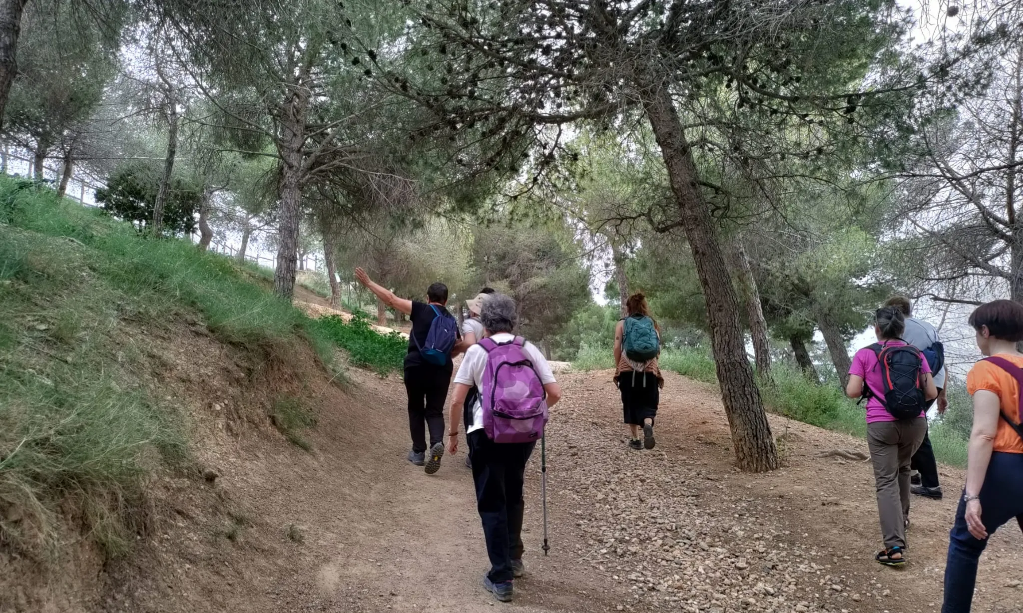 Explorem la biodiversitat