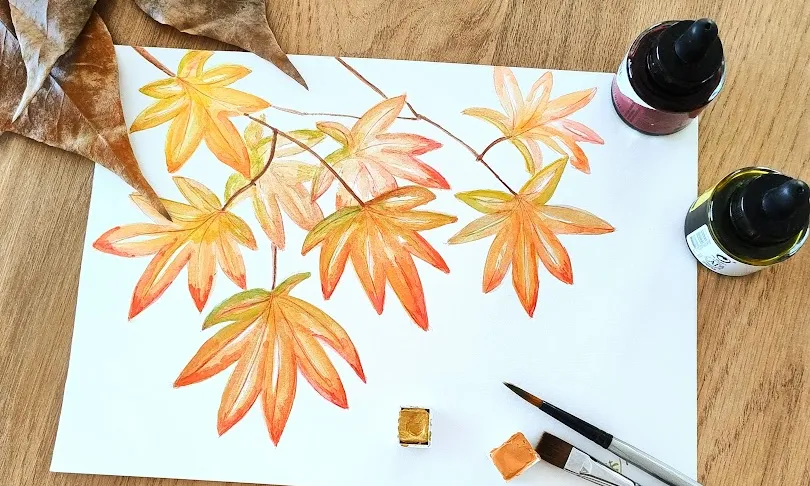 Aquarel·la i il·lustració botànica de tardor