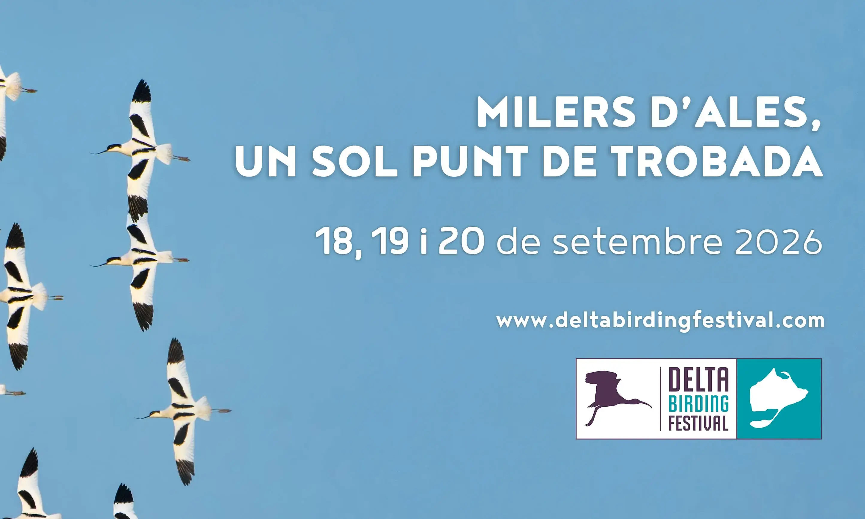 Cartell oficial del Delta Birding Festival.
