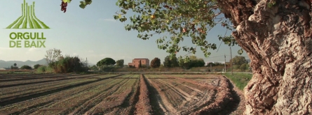 L'agricultura de proximitat és un dels valors del Baix Llobregat (imatge:elbaix.cat) Font: 