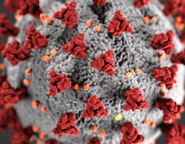 El coronavirus també afecta al teixit associatiu, un sector principalment basat en l'atenció directa. Font: U.S Department