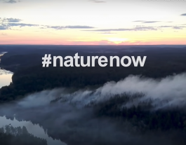 Protegir, restaurar i finançar la natura, clau per la lluita contra el canvi climàtic. Font: Natural Climate Solutions