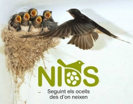 Nius.cat és un portal de ciència ciutadana per localitzar nius d