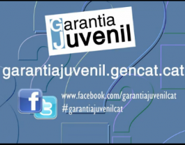 Programa de Garantia Juvenil a Catalunya Font: 