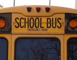 Bus escolar Font: Pixabay