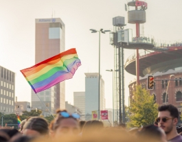 L’Observatori contra l’Homofòbia ha registrat 189 incidències per LGTBI-fòbia, la xifra més elevada dels últims cinc anys. Font: Pixabay