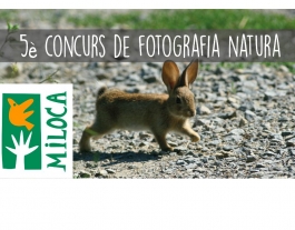 Miloca organitza el 5è concurs de fotografia de natura (imatge: miloca.org) Font: 