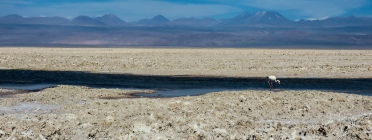 Salar d'Atacama. Font: pacheco.campos (CC BY-SA 2.0)