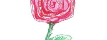 Un dels models de les roses digitals fetes pels participants de l'EICASCANTIC Font: EICASCANTIC