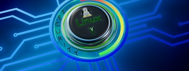 Linux compta amb opcions de seguretat i privacitat avançades. Font: MasterTux (Pixabay)