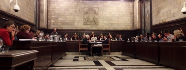 L'Ajuntament de Girona va aprovar per unanimitat aquest mes de gener declarar el muncipì 'Zona lliure de paradisos fiscals'. Font: Coordinadora d'ONG Solidàries