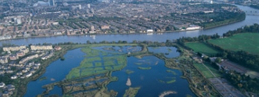 Els aiguamolls de la ciutat de Londres són un dels espais naturals preferits per ciutadania londinenca Font: wwt.org.uk