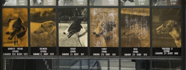 Cartell de gossos al Canòdrom. Font: Arxiu L'alzina i el Canòdrom
