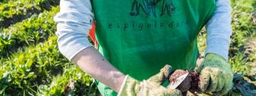 La Fundació Espigoladors és una empresa social que treballa per l'aprofitament alimentari d'una manera transformadora, inclusiva, innovadora, participativa i sostenible. Font: Glòria Solans. Font: Font: Glòria Solans.