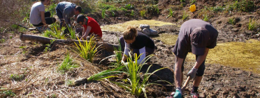 Curs online d'iniciació al voluntariat ambiental