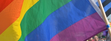La I Trobada Internacional d'Observatoris contra l'LGTBI-Fòbia se celebrarà de l'1 al 3 de juny a Barcelona. Font: Pixabay Font: Pixabay