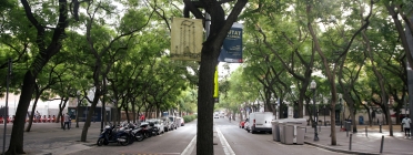 Avinguda Drassanes de Barcelona a l'altura de la Sala Baluard. Font: Carla Fajardo Martín